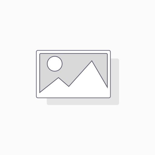 [DH2408BDFU1007] Royal Carriage Theme
