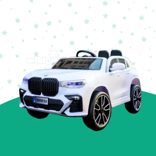 [DH2411KDS4010] Tricycle wt Hood